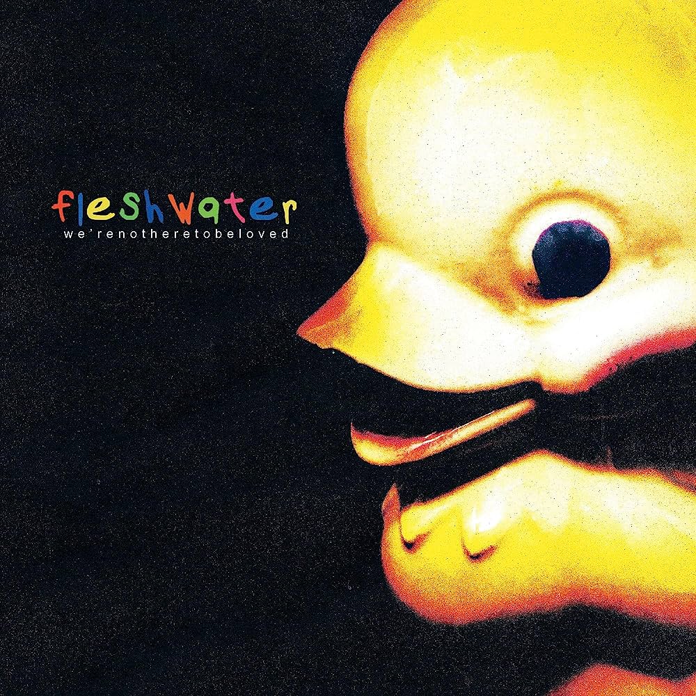 Fleshwater - We're Not Here To Be Loved LP