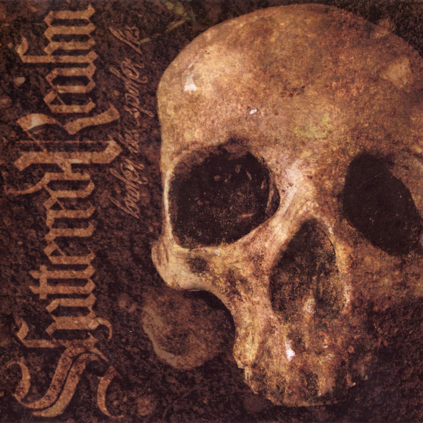 Shattered Realm - Broken Ties... Spoken Lies LP