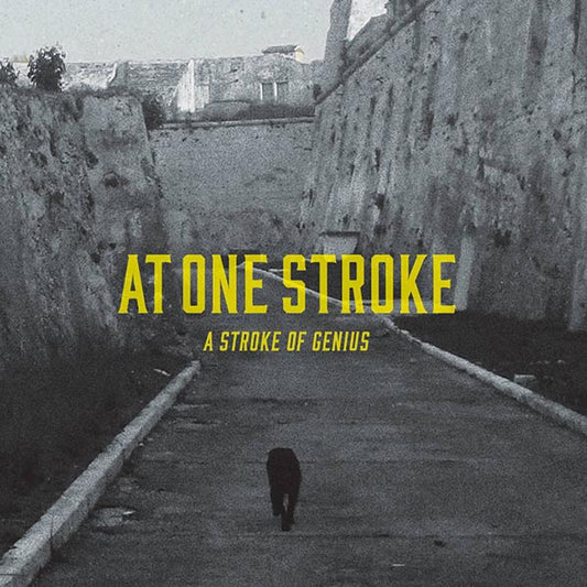 At One Stroke - A Stroke Of Genius CD