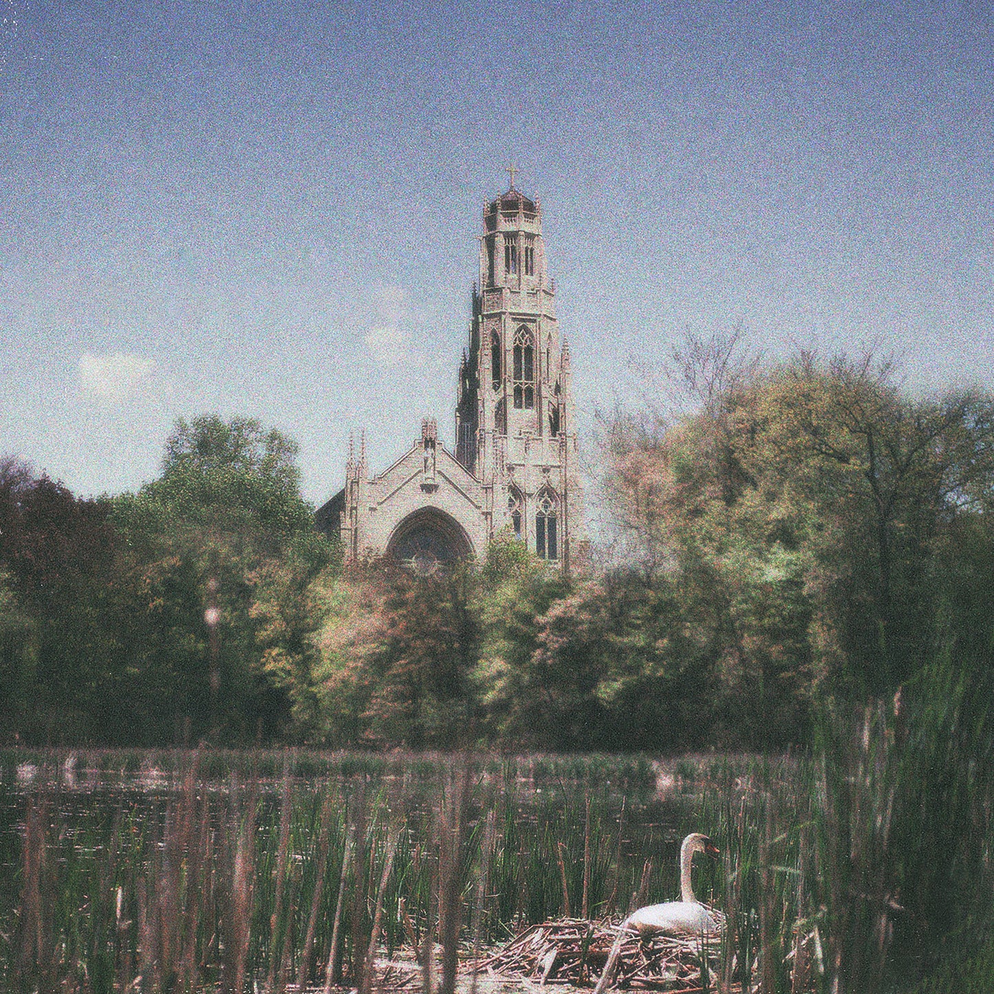 A Mourning Star - Necessity Has Clipped My Wings 7"  (Pre-Order)