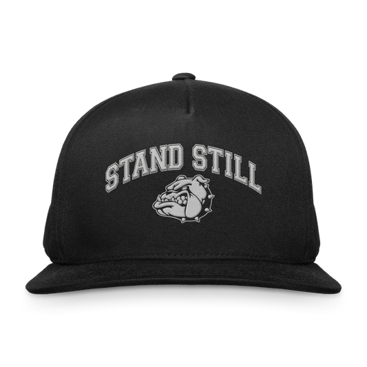Stand Still - Snapback Hat (Pre-Order)