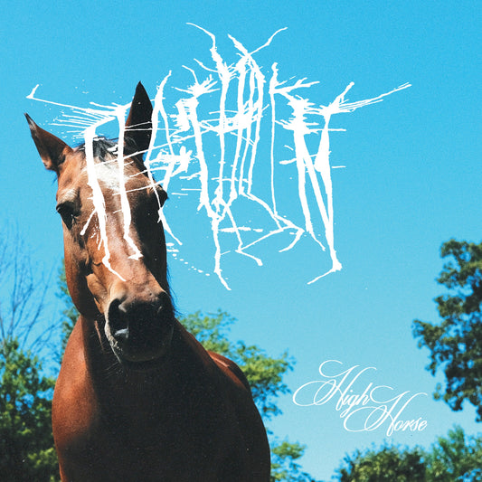 FFO: Chillin - High Horse LP/CD (Pre-Order)