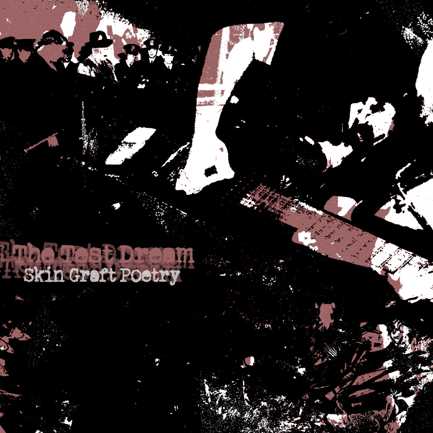 The Test Dream - Skin Graft Poetry CD