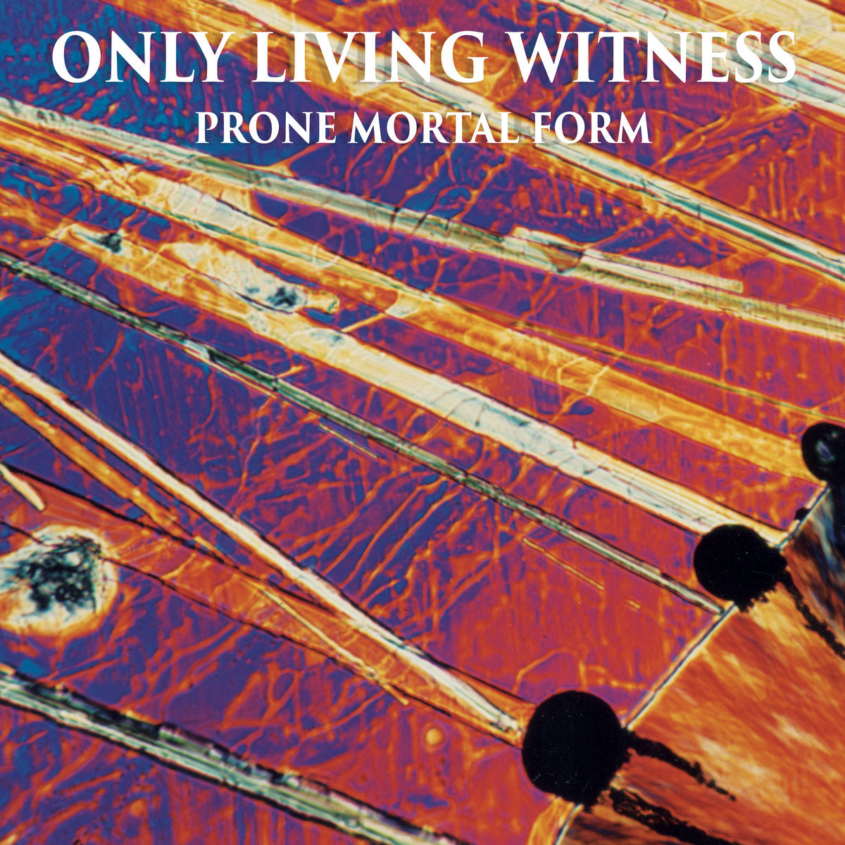 Only Living Witness - Prone Mortal Form 2XLP