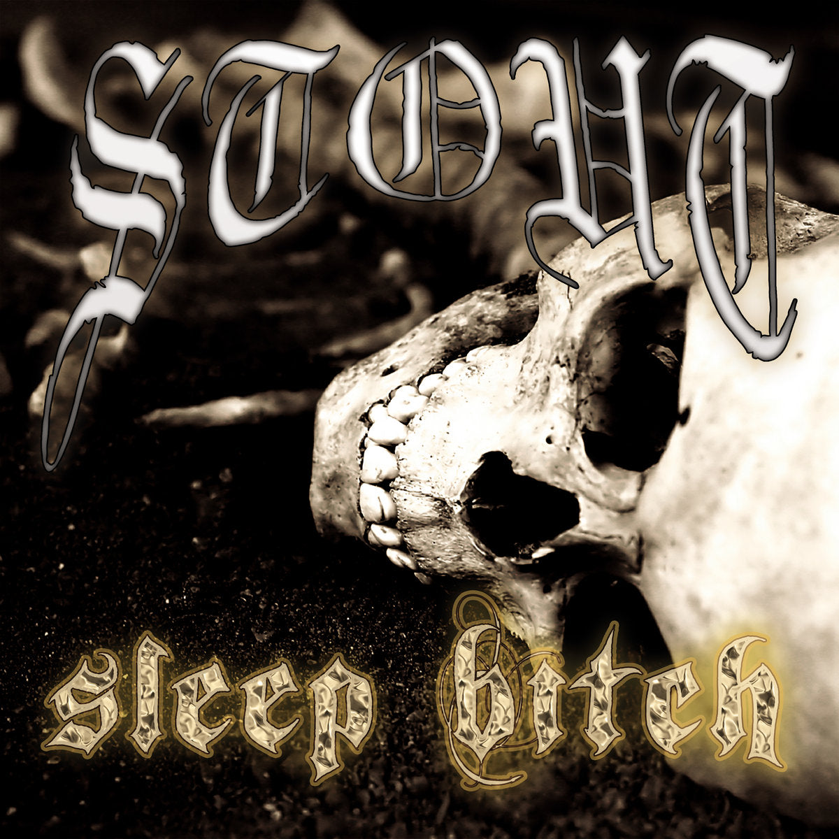 Stout - Sleep Bitch LP