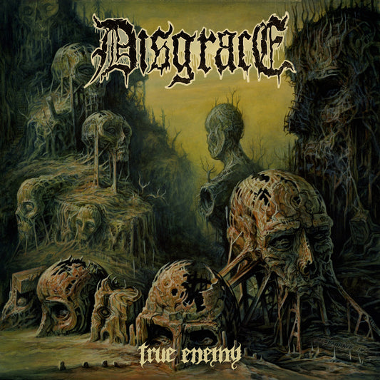 Disgrace - True Enemy 12" LP